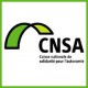 CNSA.jpg